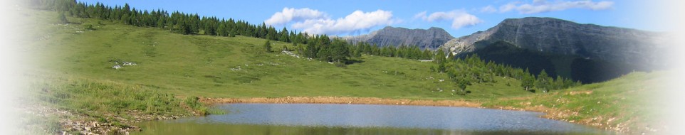 Laghetto veduta su Portule