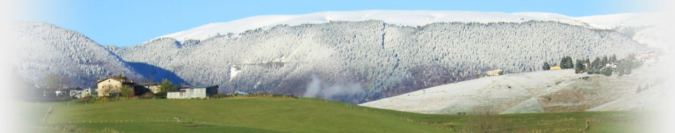 Prati verdi innevati